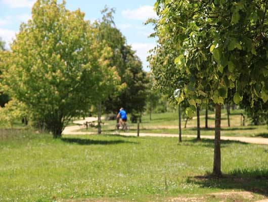 balade-bergerac-pombonne-oxobikes-bergerac-v4-530x400